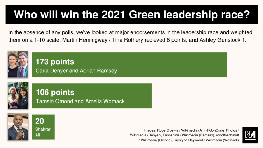 A bar graph indicating the value of various Green party leadership candidates' endorsements