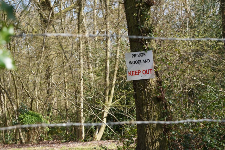 Woodland with private, keep out sign attached to a tree