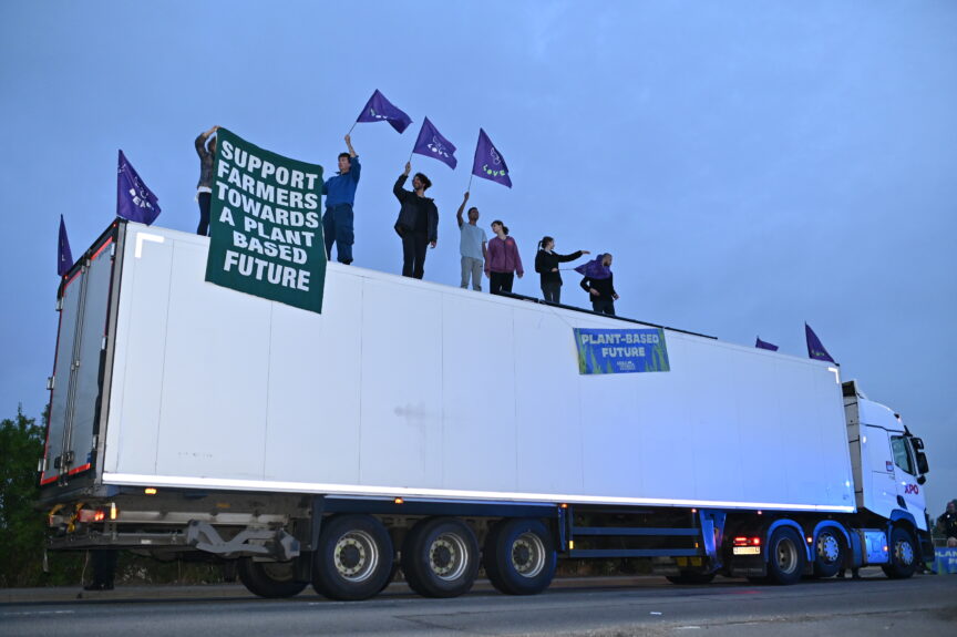 Animal rebellion protesters stand on top of a lorry