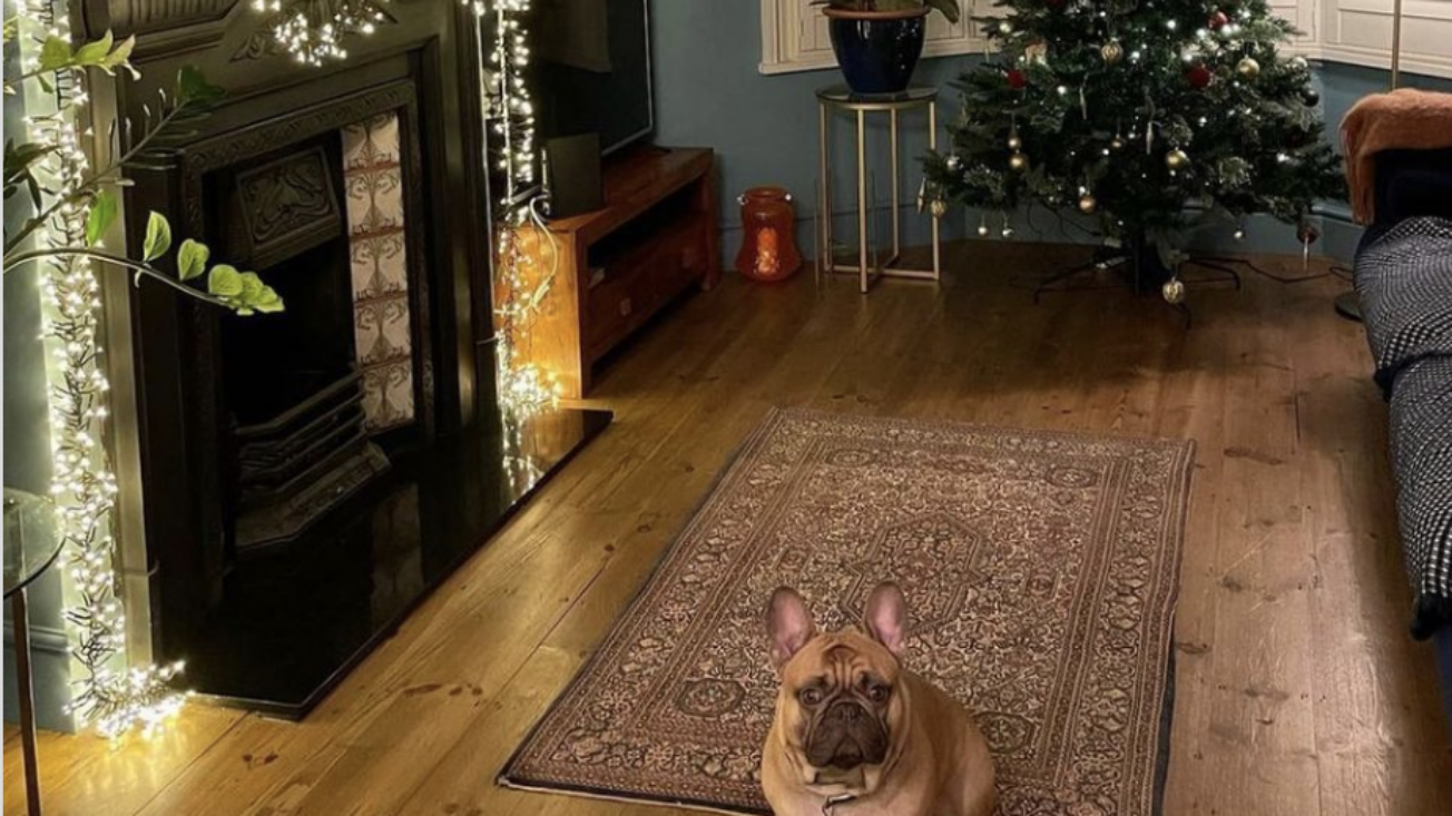 Aaron Bastani Novara Media