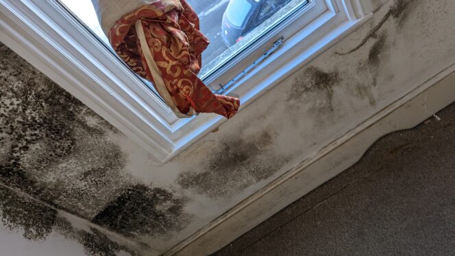 Black mould in the flat in December 2022. Andrew Kersley