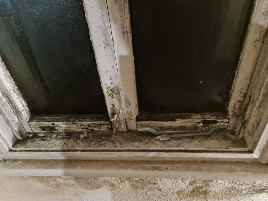 The mould problem in 2019, shortly after Luis moved in. Photo courtesy of Luis Marmolejo