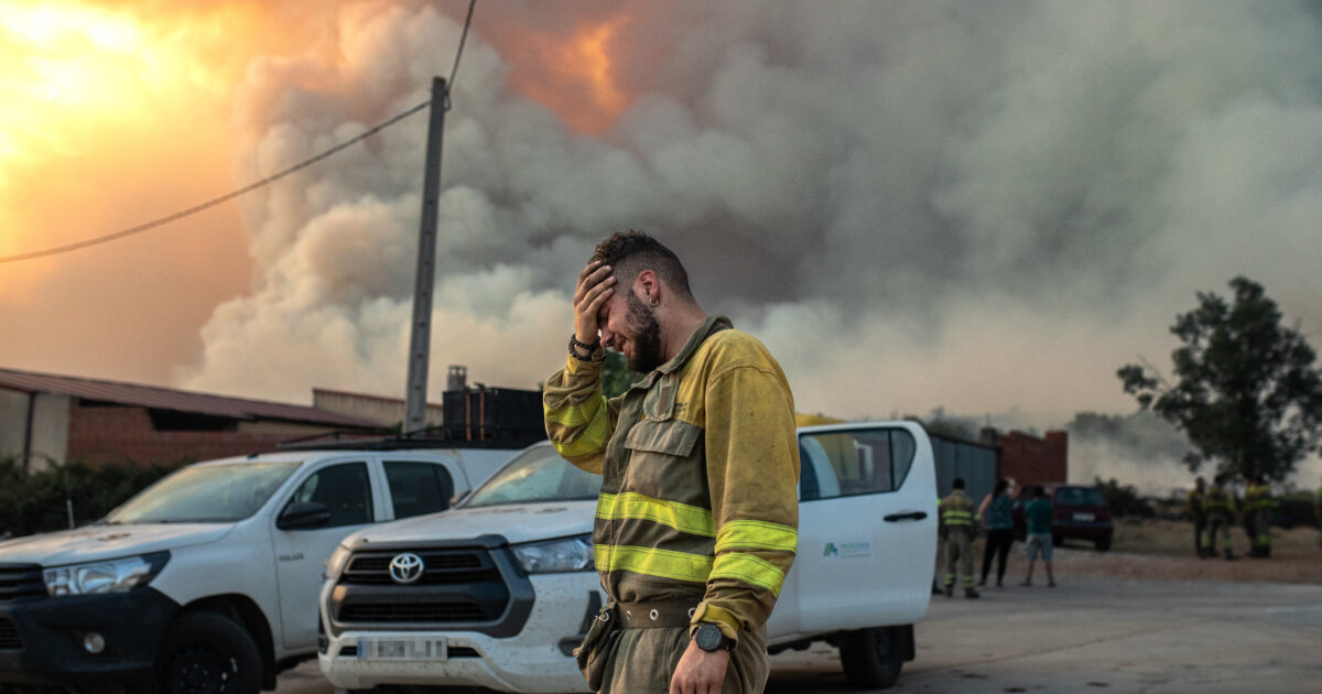 Losing Your Mind Is a Proportionate Response to the Climate Crisis - Vimarsana News
