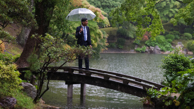 Articles | Novara Media