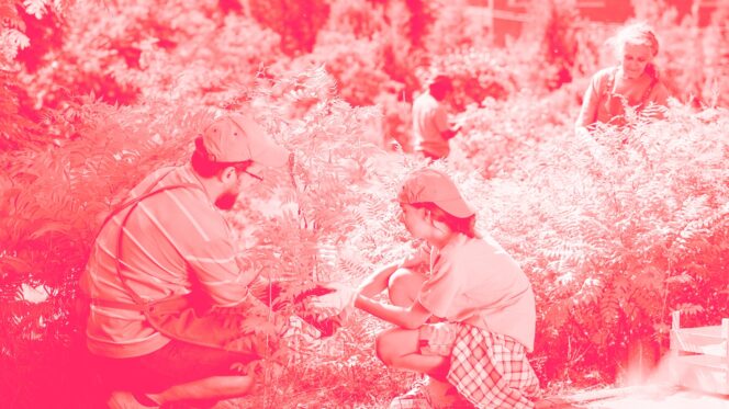 A man and a woman gardening.