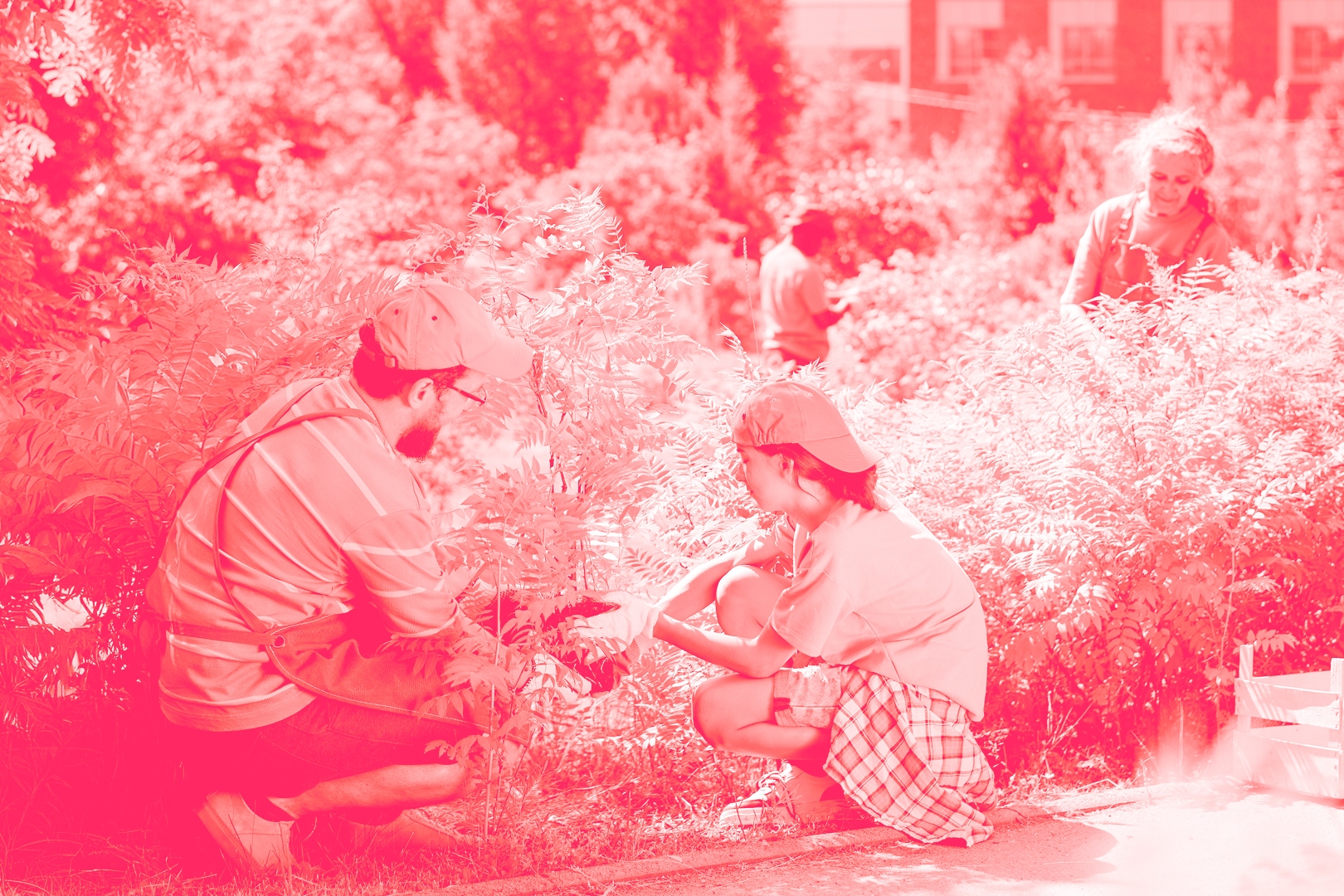 A man and a woman gardening.