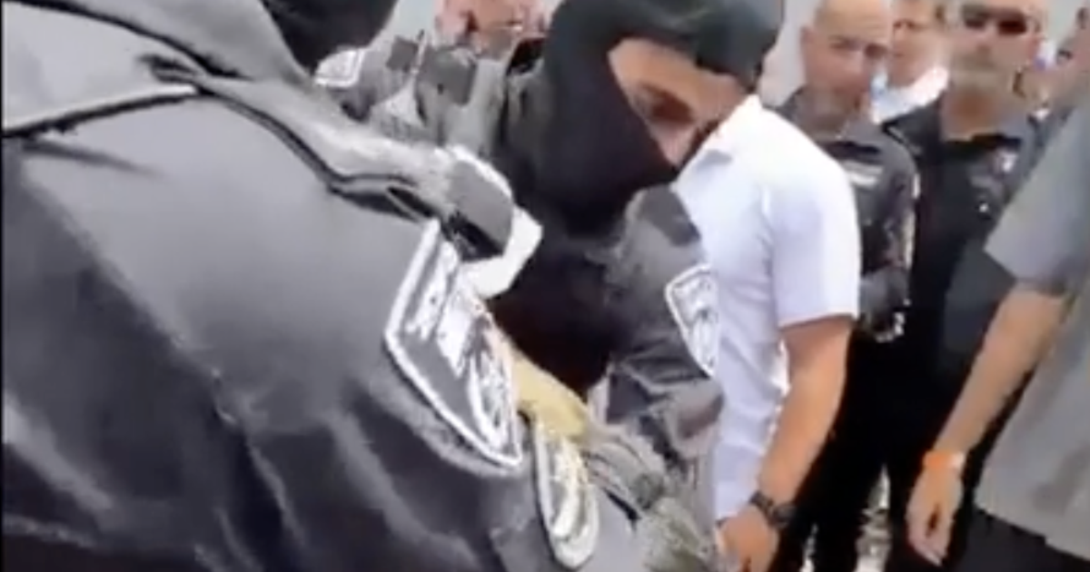 Israel Flaunts Brutal Treatment of Kidnapped Humanitarian Activists
