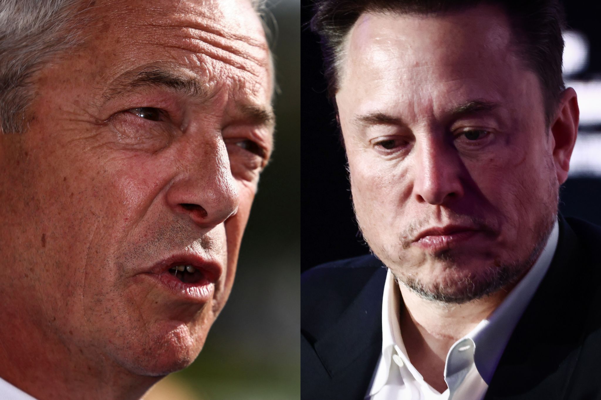 Nigel Farage and Elon Musk. Photos: Reuters/Jack Taylor, Beata Zawrzel/NurPhoto