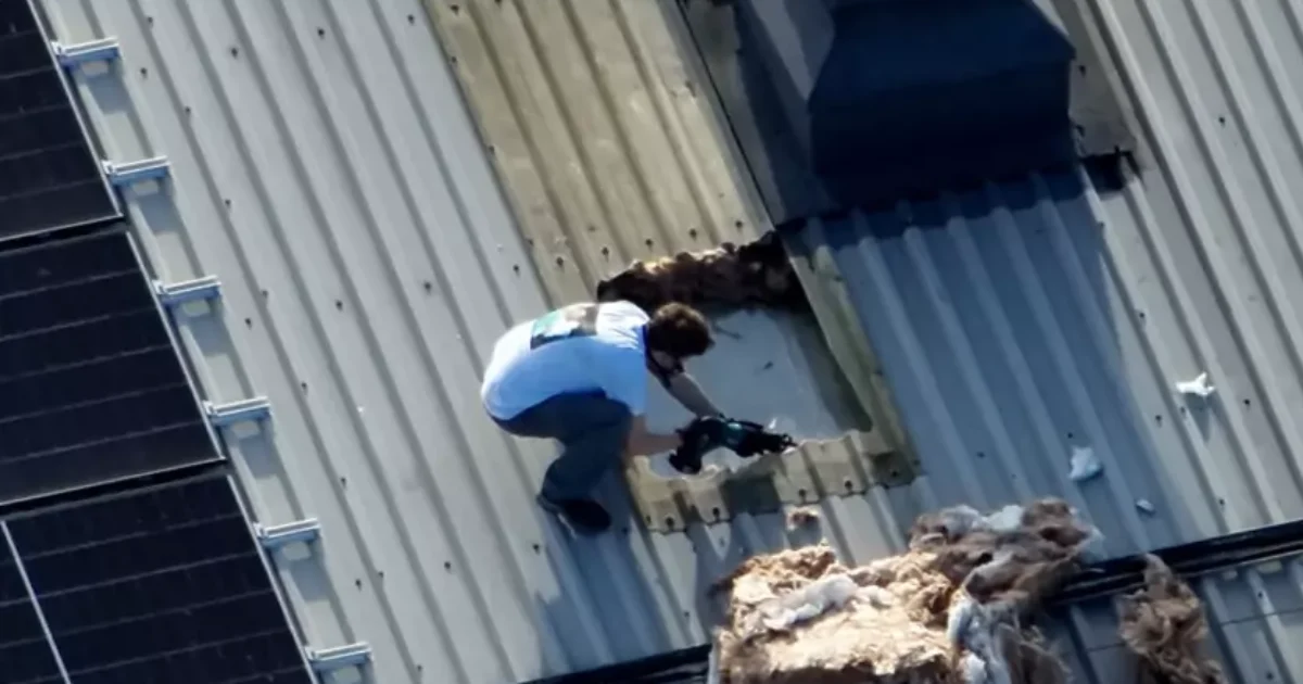 Jury Refuses to Convict Palestine Activists Over Arms Factory Raid